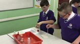 Year 5 become scientists!