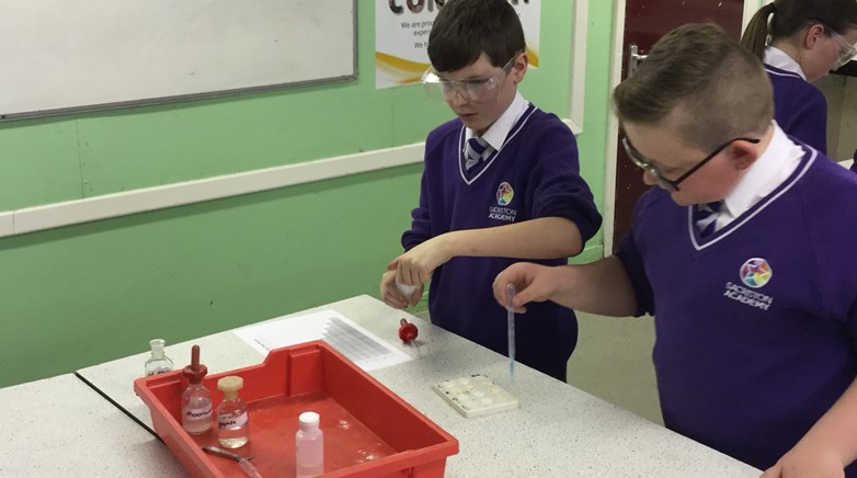 Year 5 become scientists!