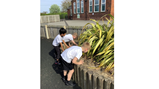 Wildlife Club