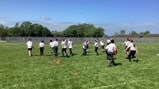 Year 4 and 6