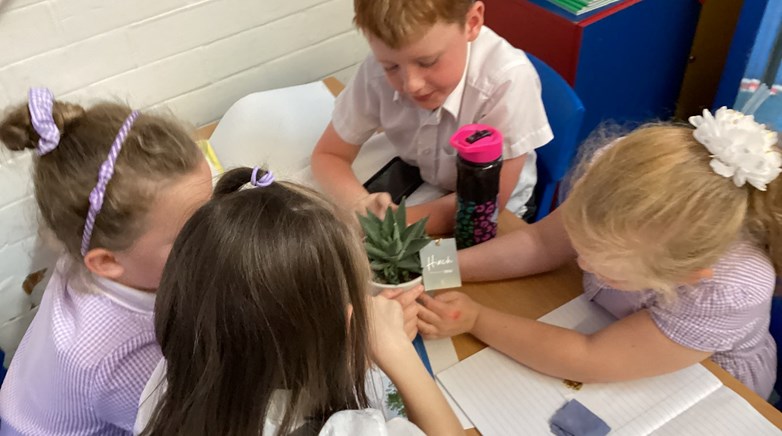 Year 2 plant experts