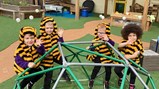 World Bee Day