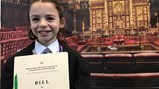 Parliamentary loan box 
