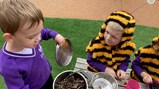 World Bee Day