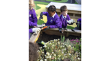 Nature Detectives Club