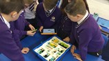 STEM session with Northumbria University