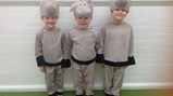 Sacriston Dance Festival