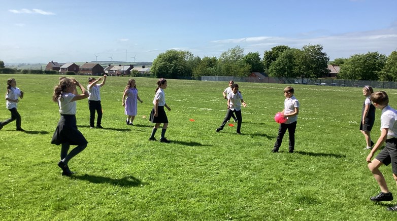Year 4 and 6