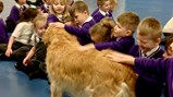 Guide dogs visit Sacriston