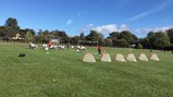 Sport festival fun! 