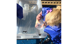 Sacriston incy wincy spider