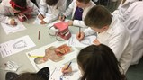 Year 4 at Life Centre