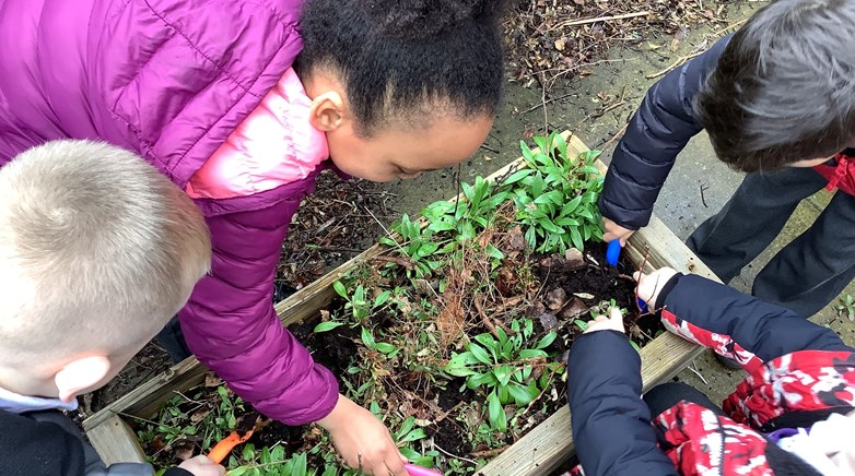 Year 2 gardening 