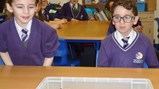 Zoolab comes to visit