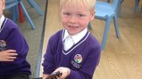 Sacriston insect visitors