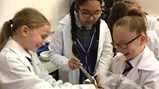 Year 4 Life Science Centre