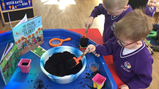 Science week