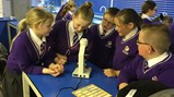 Year 5 become scientists!