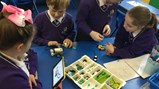 STEM session with Northumbria University