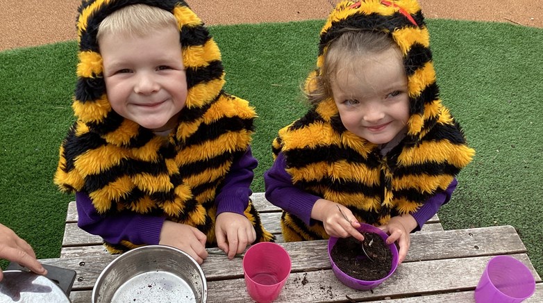 World Bee Day