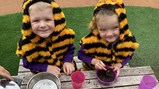 World Bee Day