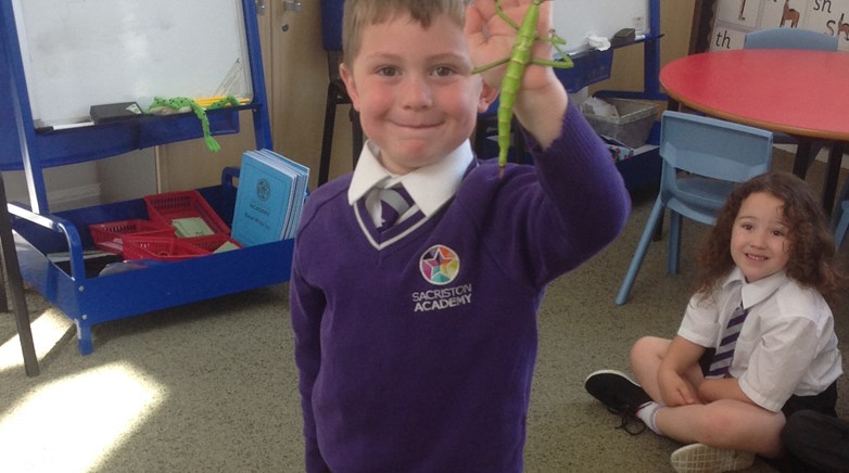 Sacriston insect visitors