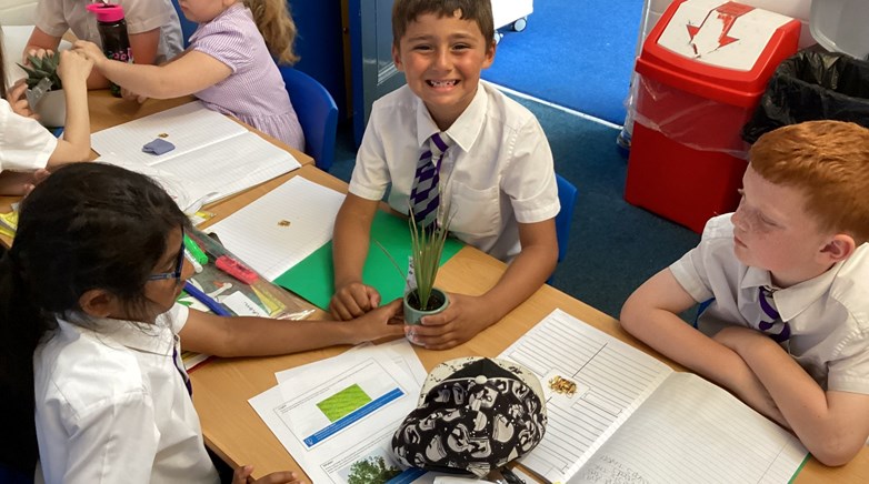 Year 2 plant experts