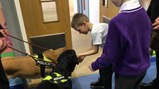 Year 2 PCSO visit