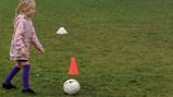 multiskills trip