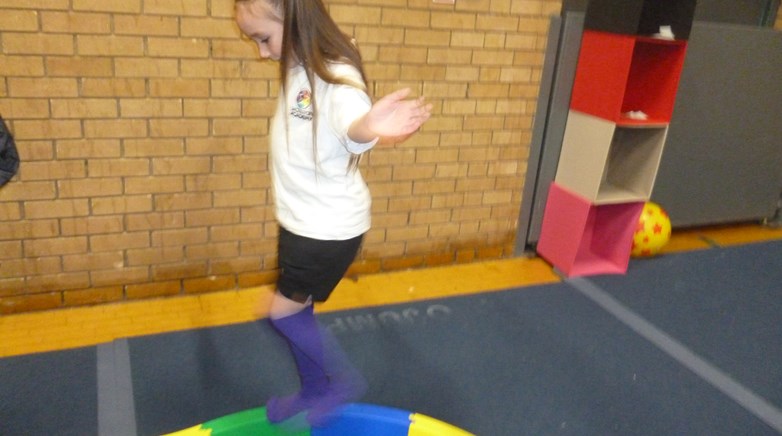 Year attend gymnastics festival