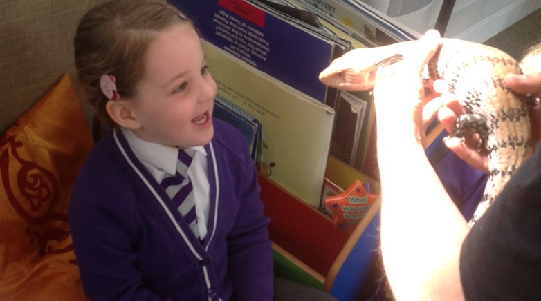 Sacriston insect visitors
