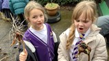 Year 2 gardening 