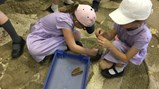 Year 4 visit Roman fort
