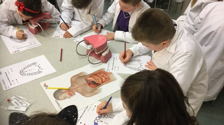 Year 4 at Life Centre