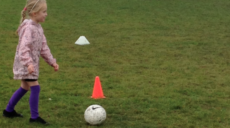multiskills trip