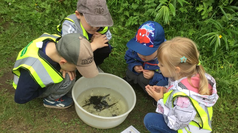 Year 1 visit Hardwick Park
