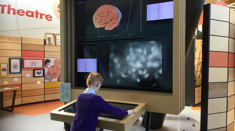 Year 4 at the Life Centre