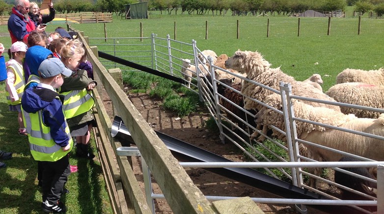 Reception enjoy a day on the farm!