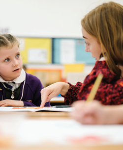 Sacriston 2025- 446 Cropped