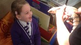 Sacriston insect visitors