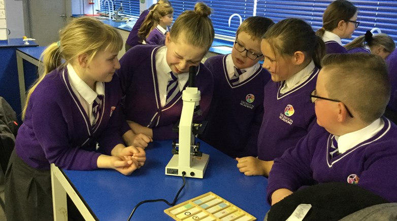 Year 5 become scientists!