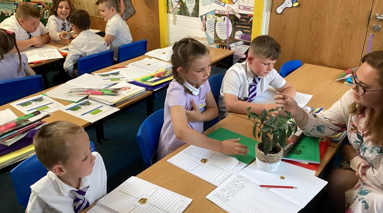 Year 2 plant experts