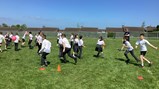 Year 4 and 6