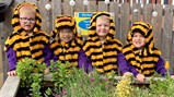 World Bee Day