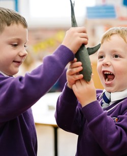 Equality and diversity