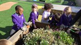 Nature Detectives Club