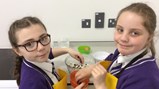 Sacriston Year 5 Durham Federation