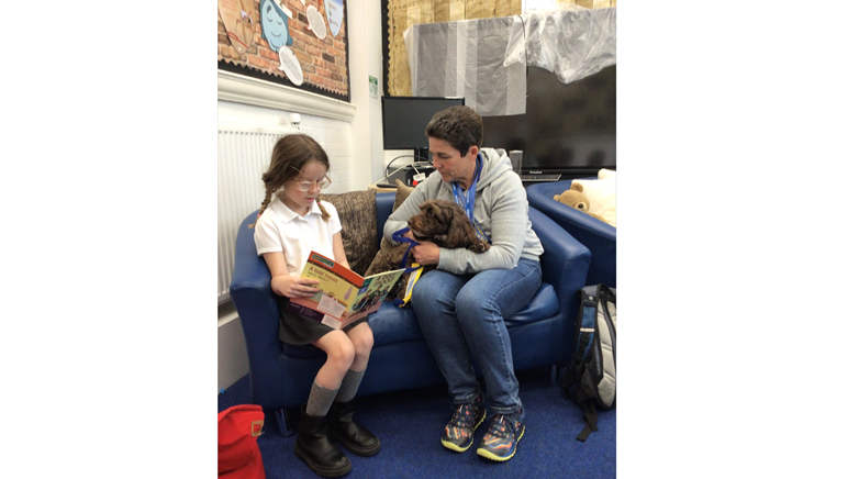 Therapy dog