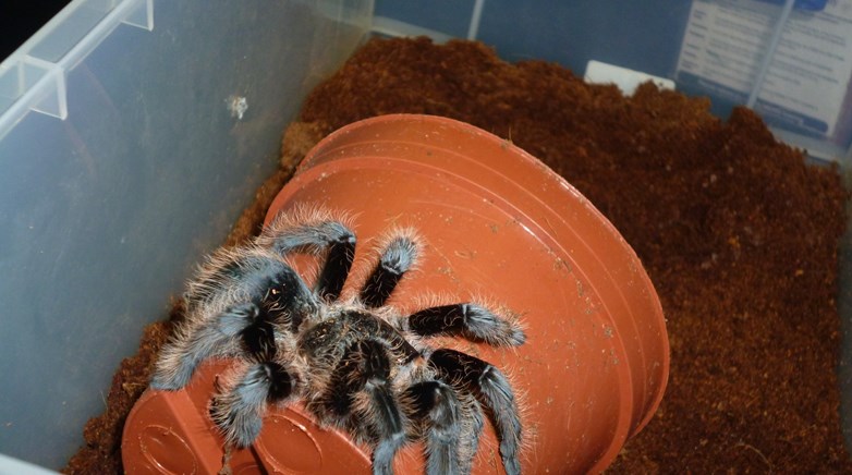 Zoolab comes to visit